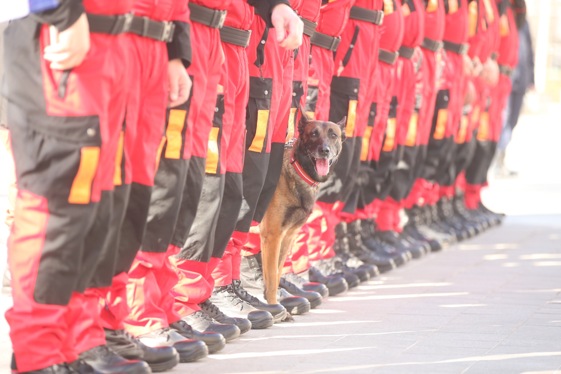 “POMOZ’ BOG JUNACI” Dodik ispred Palate Republike pozdravio 30 hrabrih spasilaca iz Turske (FOTO)
