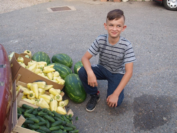 Raspust provodi na njivi i tezgi