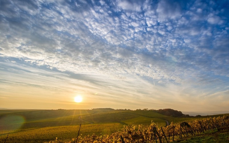 Sutra sunčano i toplije