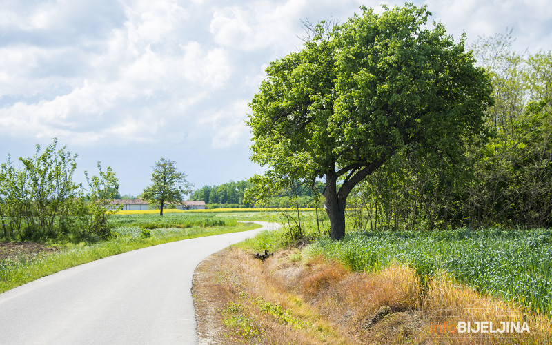Zahlađenje stiže u BiH, biće i padavina