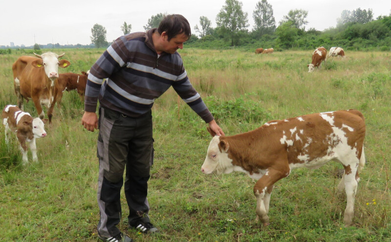 Pala prodaja domaćih proizvoda
