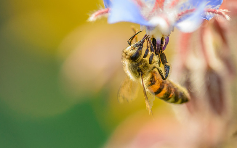 Sutra sunčano i veoma toplo