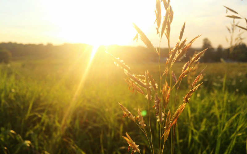 Danas sunčano i veoma toplo