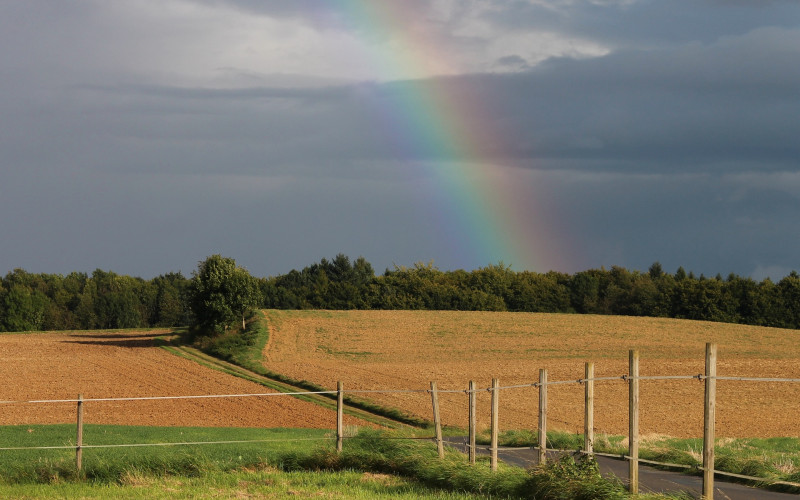Sunčan i topao vikend pred nama, kiša i pljuskovi početkom naredne sedmice