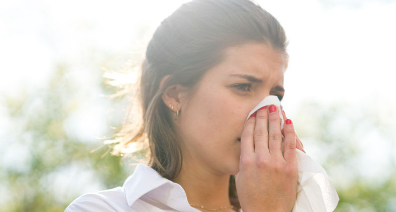 Kako prepoznati, olakšati i prirodno liječiti alergiju na ambroziju