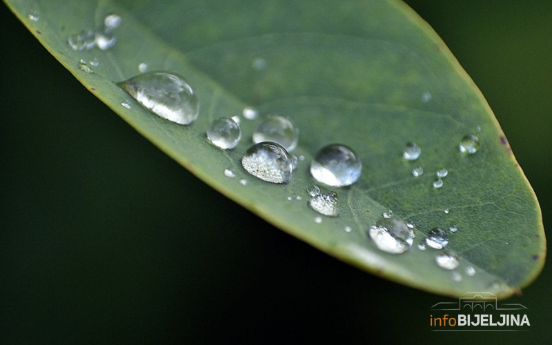 Sutra svežije sa kišom