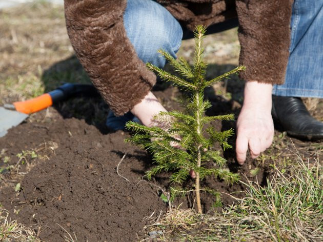 Za zaštitu životne sredine prošle godine potrošeno 135,2 miliona KM