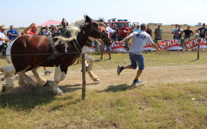 Odžana deveta ,,Štraparijada