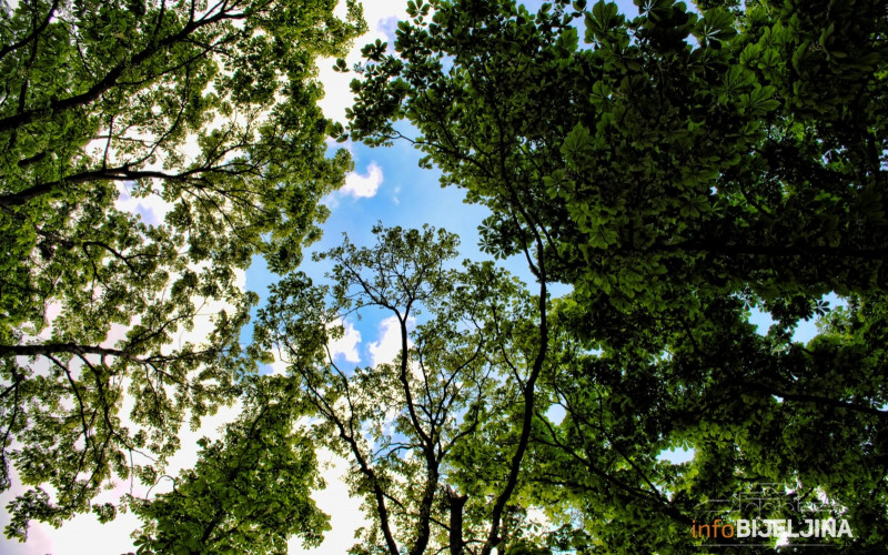 Danas pretežno sunčano