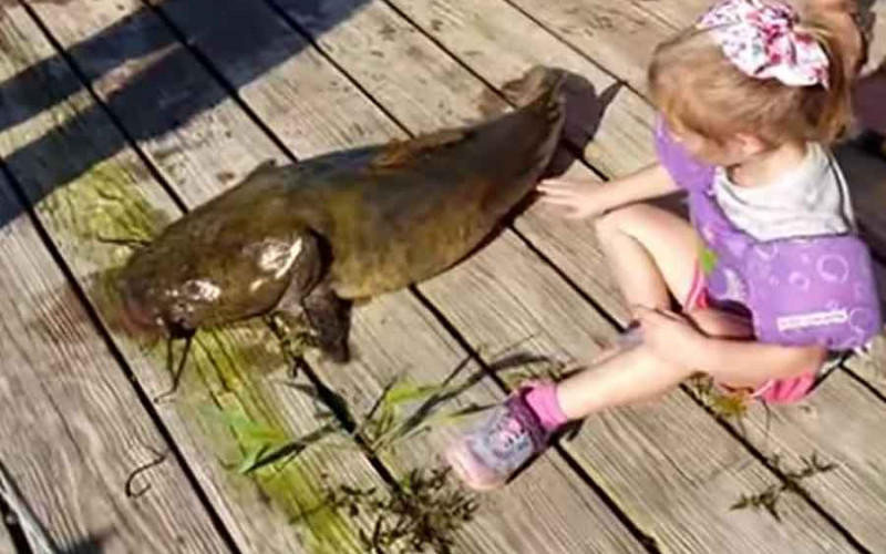 Djevojčica (4) ulovila soma od 15 kilograma pomoću IGRAČKE