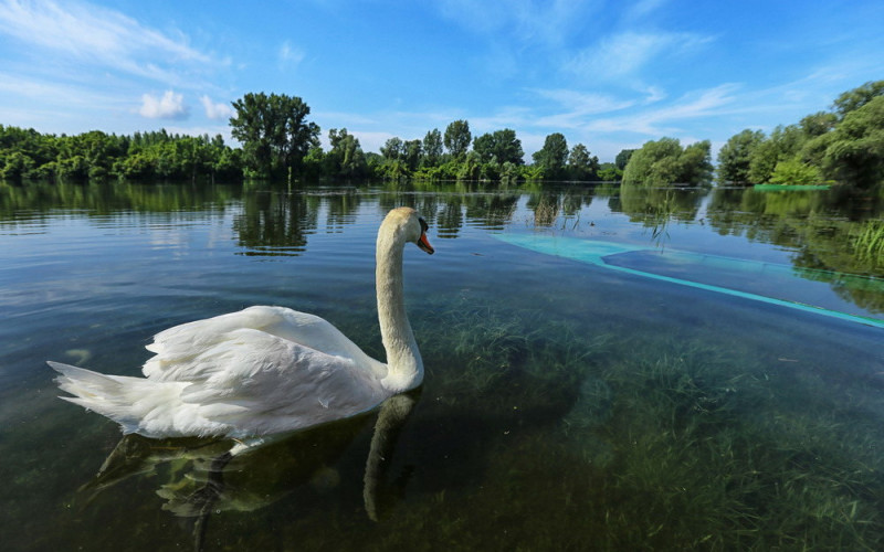 Sutra sunčano i toplo