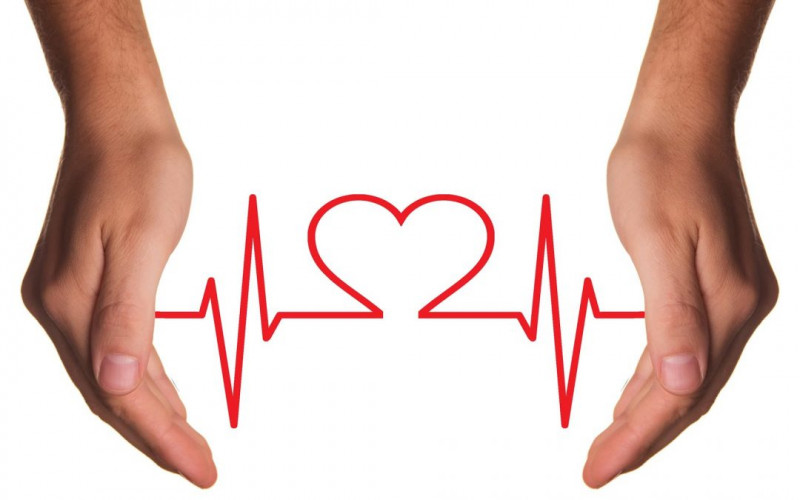 Sutra Treći festival zdravlja