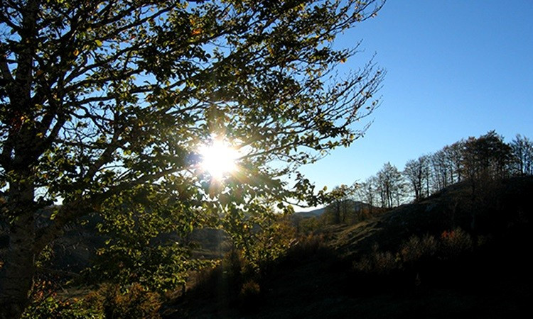 Danas sunčano i toplo, temperatura do 28 stepeni