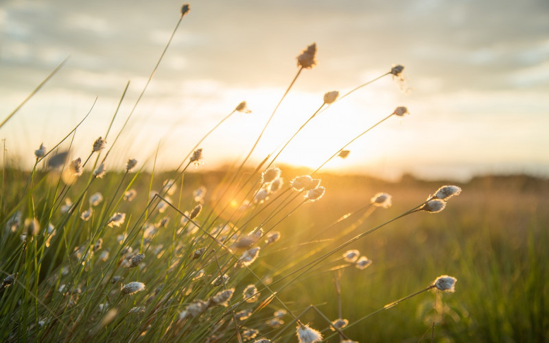 Sutra sunčano i toplo, temperatura do 32 stepena