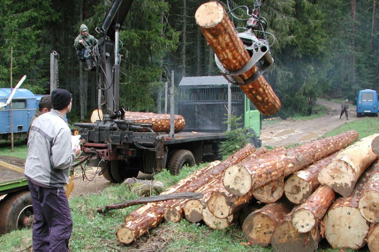Pre­mi­jer Vi­ško­vić ot­krio: Ni­je kraj smje­na­ma u “Šu­ma­ma RS”