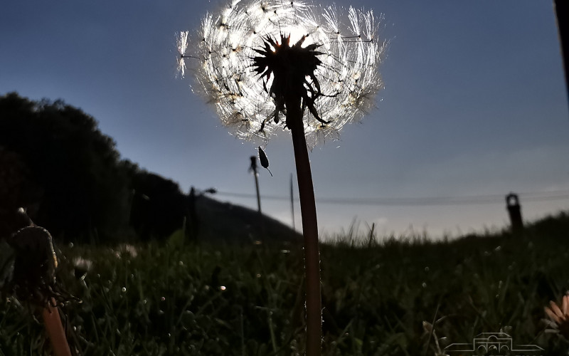 Danas osjetno toplije i bez padavina