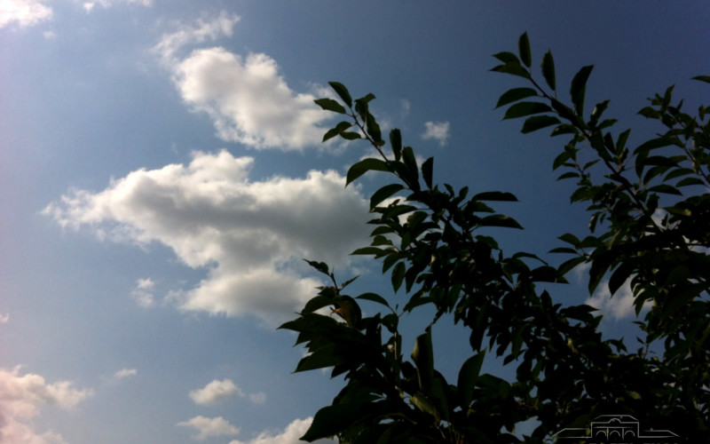 Danas oblačno i suvo, popodne moguća kiša