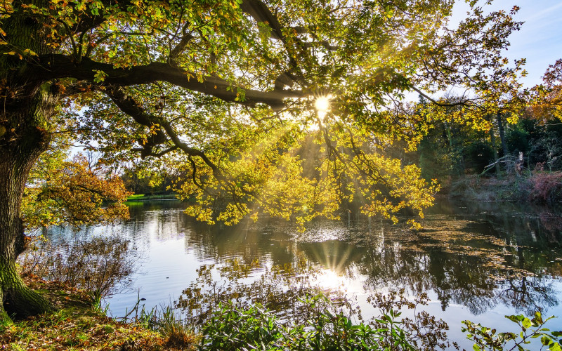 Danas sunčano i toplije