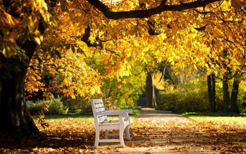 Danas sunčano i toplo