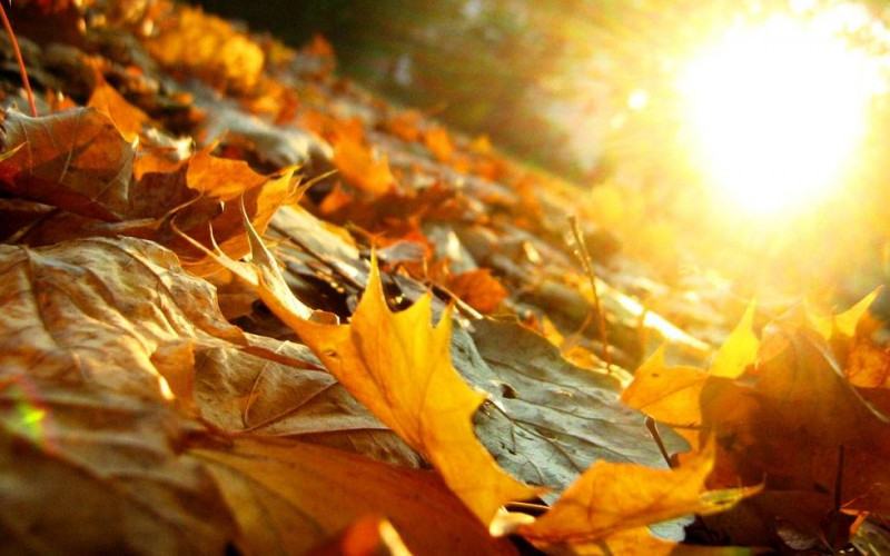 Sutra sunčano i toplo