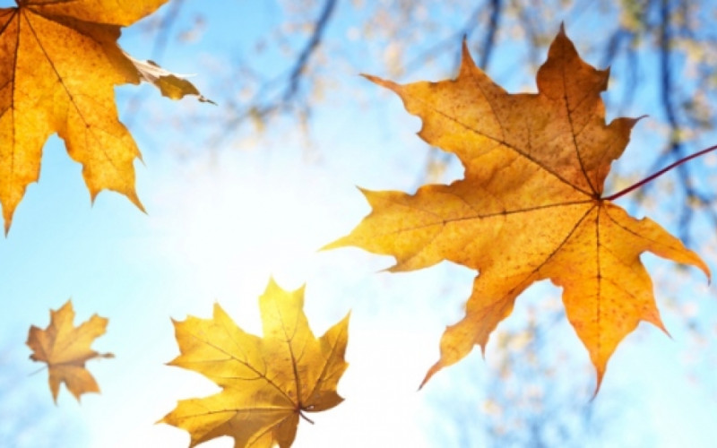 Natprosječne temperature u BiH do 21. oktobra