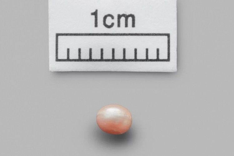 Pronađen najstariji biser na svijetu