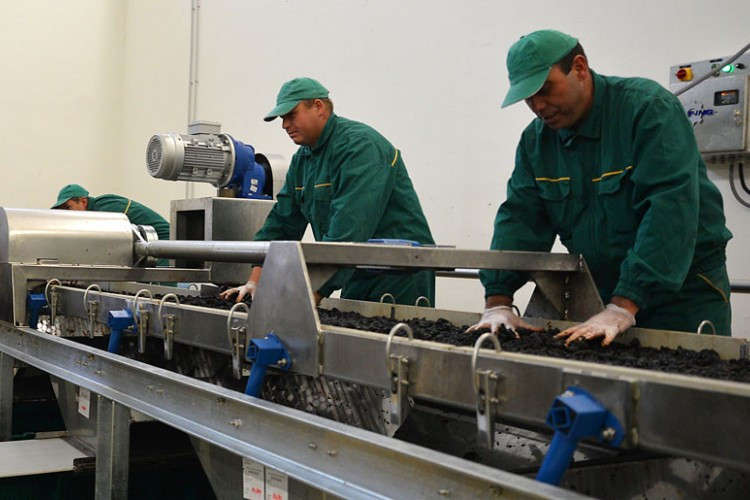 Broj firmi opada, zaposlenih raste?