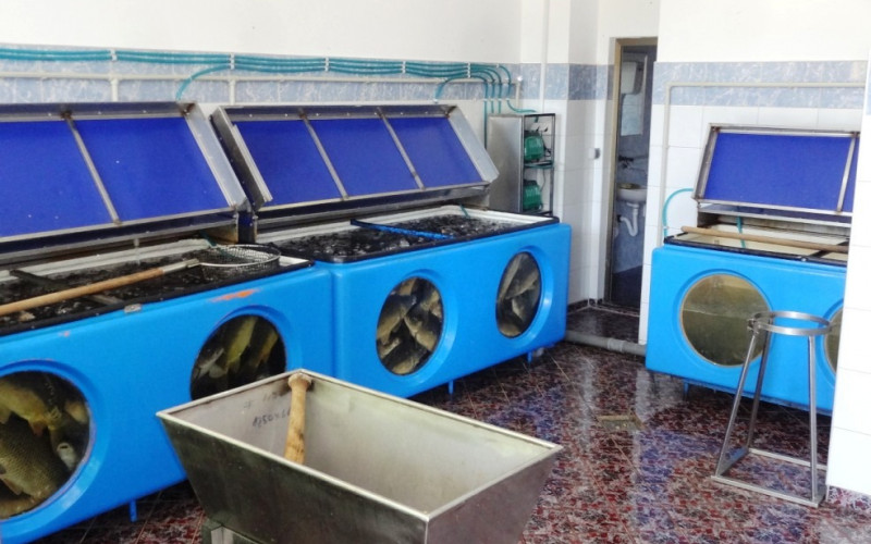 Potražnja za svježom ribom u Bijeljini