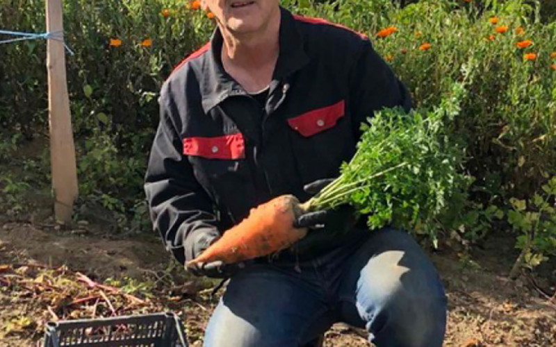 Organski uzgojena mrkva u Novom Travniku teža od kilograma