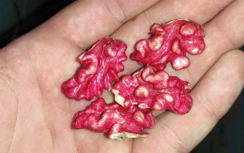 Da li ste znali ? Postoji crveni orah !