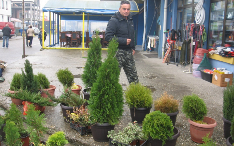 Rajo Kojić Rambo, penzionisani policajac - stručnjak za hortikulturu