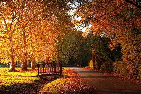 Objavljena vremenska prognoza do kraja novembra