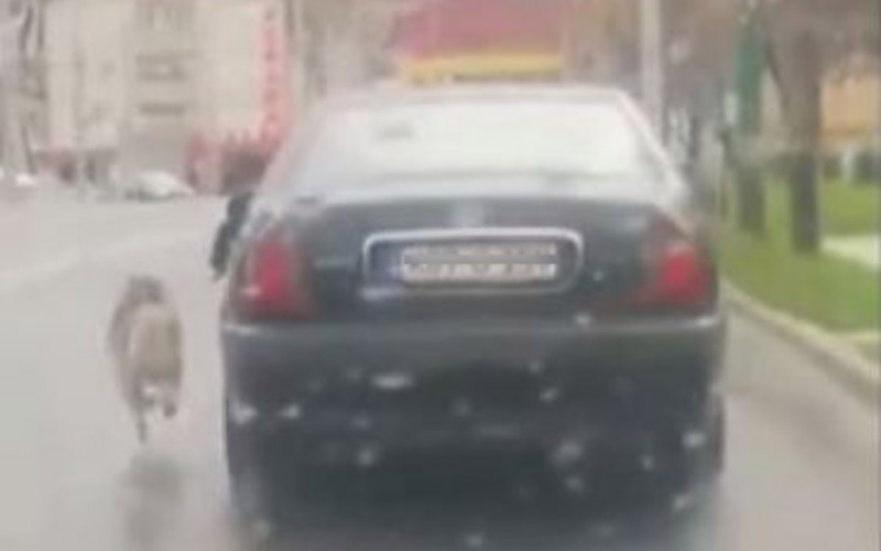 Psa vezanog za vozilo vukao po putu