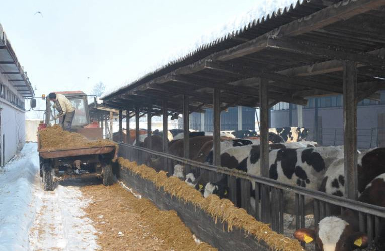 Šaroviću dat rok od sedam dana ili farmeri izlaze na ulicu