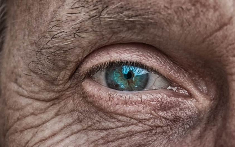 Iz oka čovjeka izvadili crva od sedam centimetara