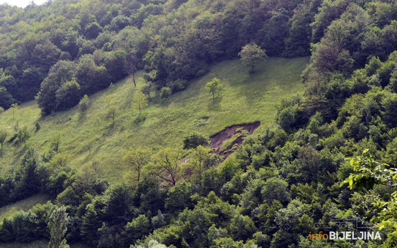 Brazil gubi gotovo 10.000 kvadratnih kilometara prašuma godišnje