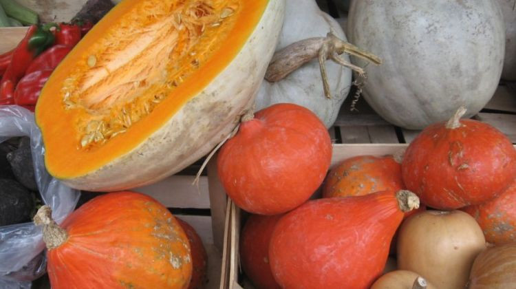 U Semberiji alternativna ishrana sve zastupljenija