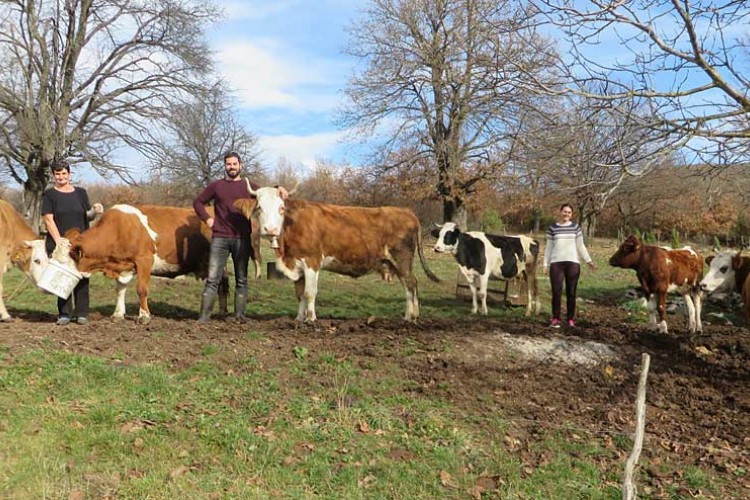 Ljubav prema djedovini jača od lagodnog života
