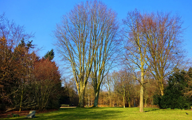 I sutra sunčano i toplo, temperatura do 17 stepeni