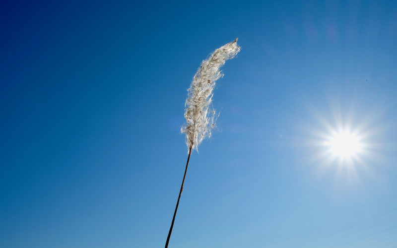 Danas sunčano i vjetrovito