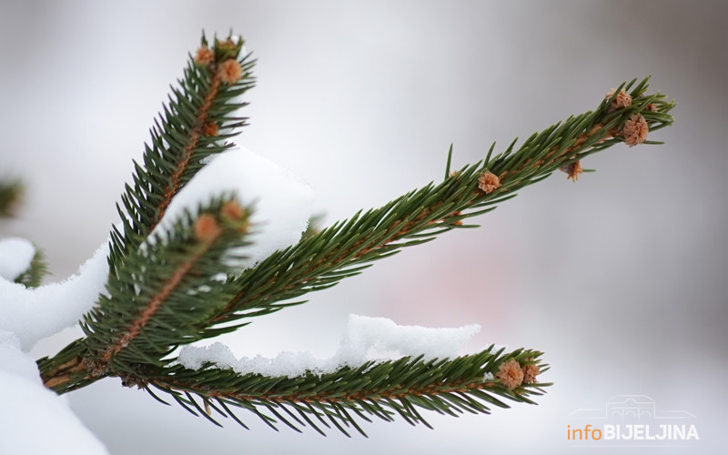 Sunčano uz malu oblačnost, temperatura do devet stepeni Celzijusovih
