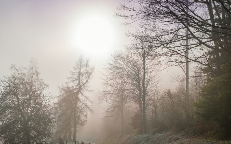 Danas prohladno sa maglom