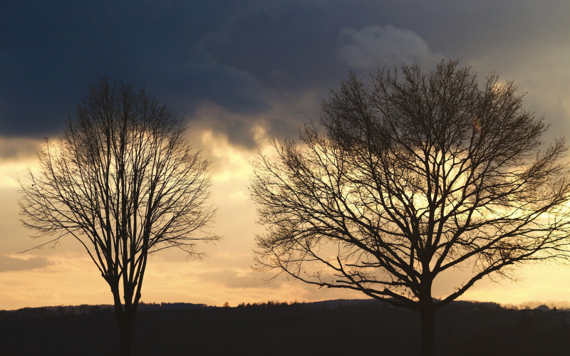 Prijepodne pretežno oblačno, tokom dana sunčano