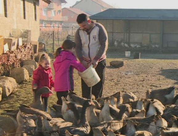 Kod Laktaša gaji najveće guske na svijetu čija mast liječi bronhitis