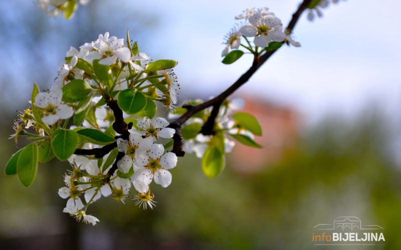 Pogledajte kakvo nas vrijeme očekuje tokom proljeća