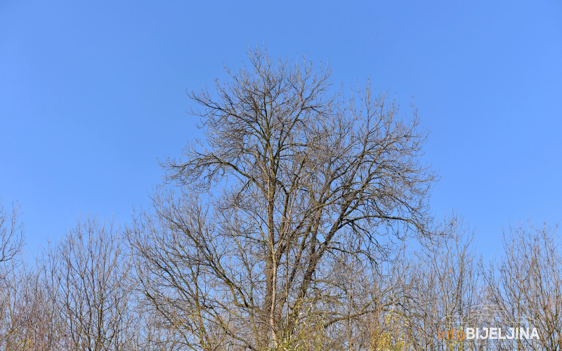 Prijepodne oblačno sa padavinama, tokom dana razvedravanje