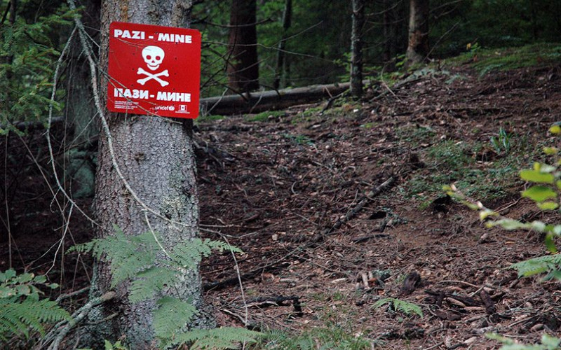 Lani deminirano 355.145 metara kvadratnih u RS