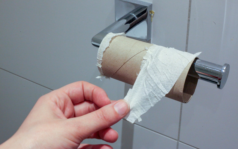 Šta su ljudi koristili prije pojave toalet papira?