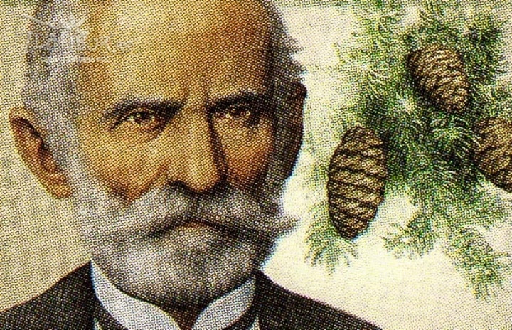 Na današnji dan 1814. godine rođen Josif Pančić