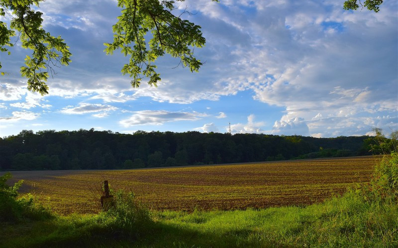 Danas sunčano, temperatura do 28 stepeni